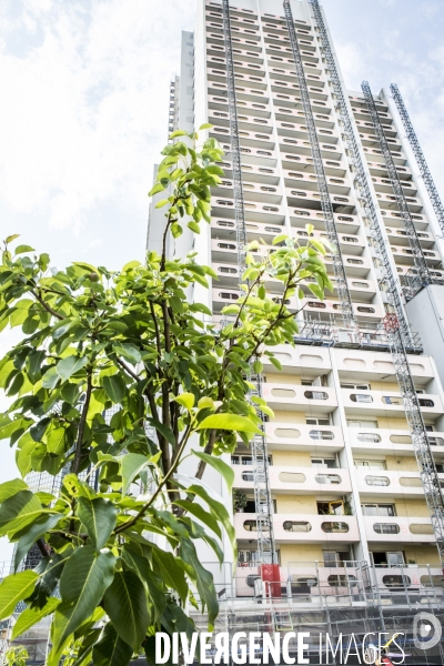 Les jardins partages de Beaugrenelle