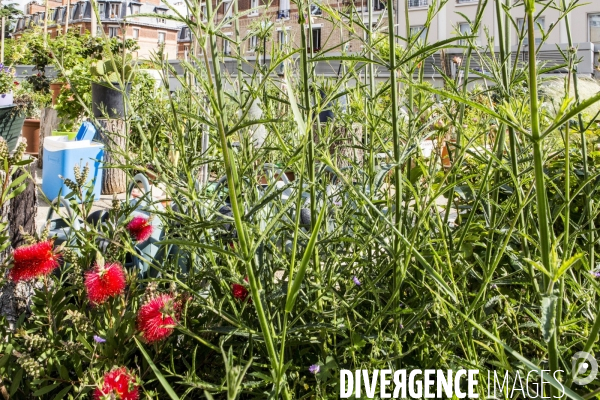 Les jardins partages de Beaugrenelle