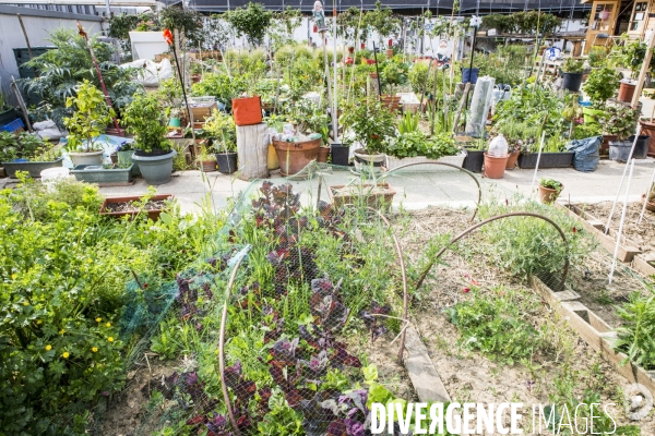 Les jardins partages de Beaugrenelle