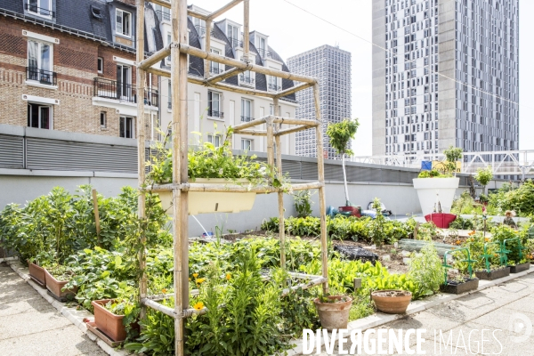 Les jardins partages de Beaugrenelle