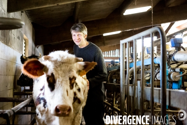 Exploitation biologique de vaches laitières dans le Nord (59)