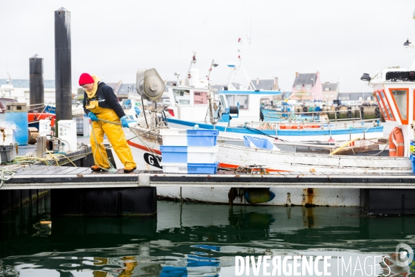 Pêcheuse d algues en Bretagne