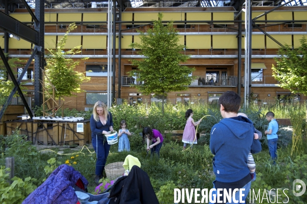Mai 2016.Au jardin Rosa Luxembourg sous la halle Pajol des enfants s activent dans le jardin partage