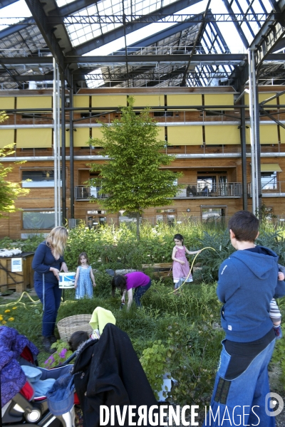 Mai 2016.Au jardin Rosa Luxembourg sous la halle Pajol des enfants s activent dans le jardin partage