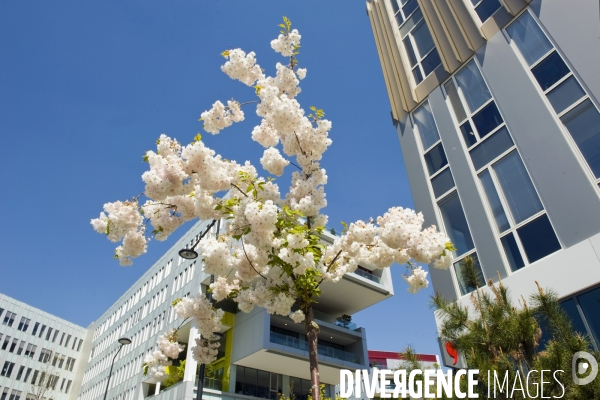 Mai 2016.Le campus SFR,siege social de la societe a Saint Denis