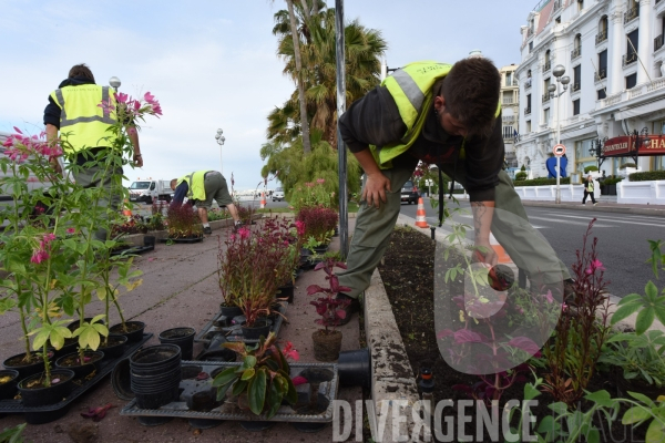 Direction des Espaces Verts de la ville de Nice : jardiniers