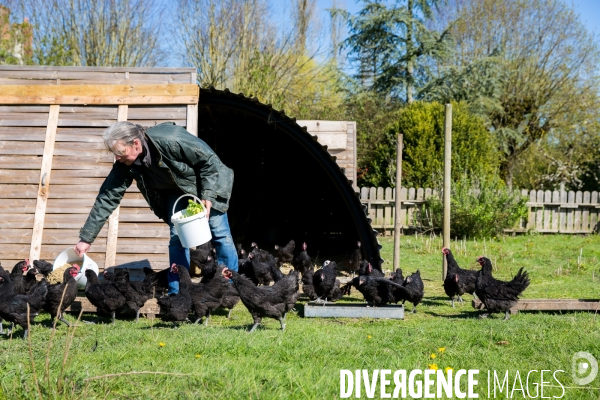 Elevage de volaille en Touraine