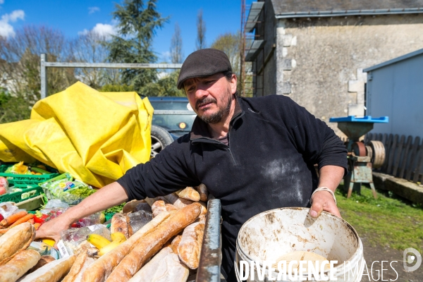 Elevage de volaille en Touraine