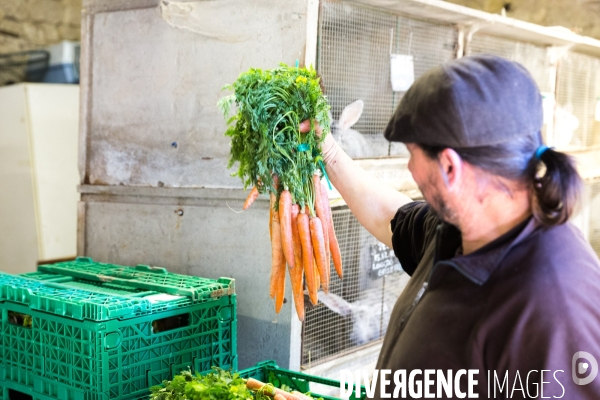 Elevage de volaille en Touraine