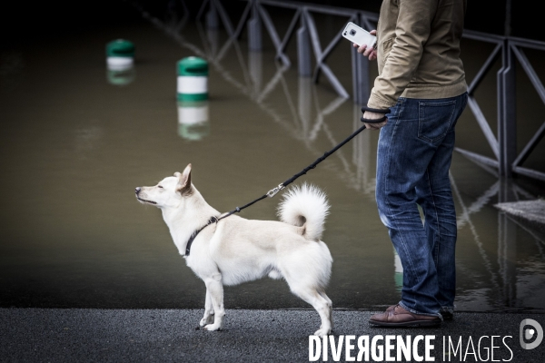 Paris, la Seine en crue