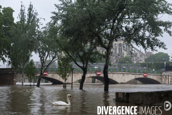 La crue de la Seine à Paris