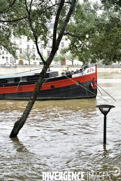 La Seine en crue à Paris. Seine flooded in Paris.