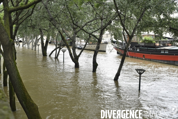La Seine en crue à Paris. Seine flooded in Paris.