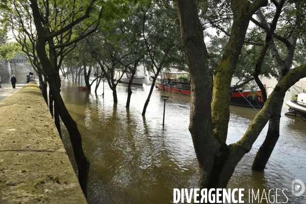 La Seine en crue à Paris. Seine flooded in Paris.