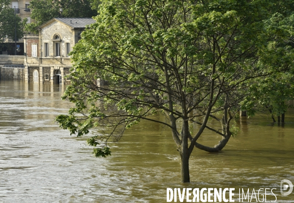 La Seine en crue à Paris. Seine flooded in Paris.