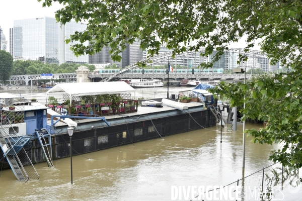 La Seine en crue à Paris. Seine flooded in Paris.