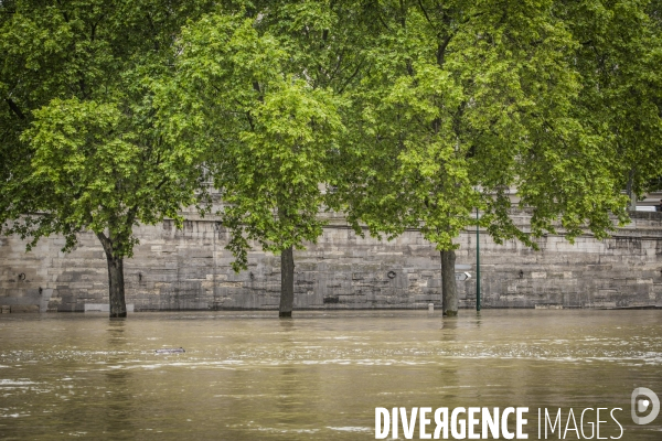 Paris, la Seine en crue