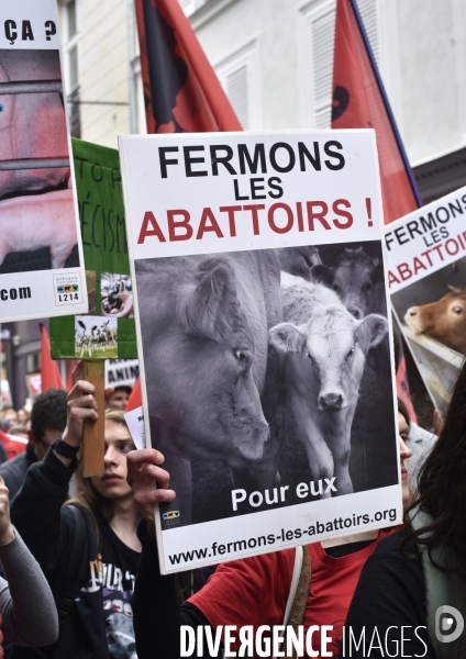 Marche pour la fermeture des abattoirs Paris 2016.Walk to the closure of slaughterhouses.
