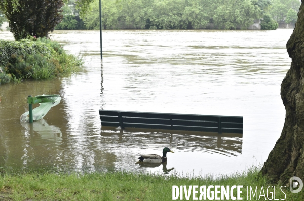 La Seine en crue à Paris. Seine flooded in Paris.