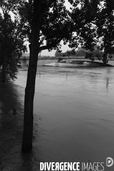 Inondations à Paris la Seine 2016.  Flooding of the River Seine Paris 2016.