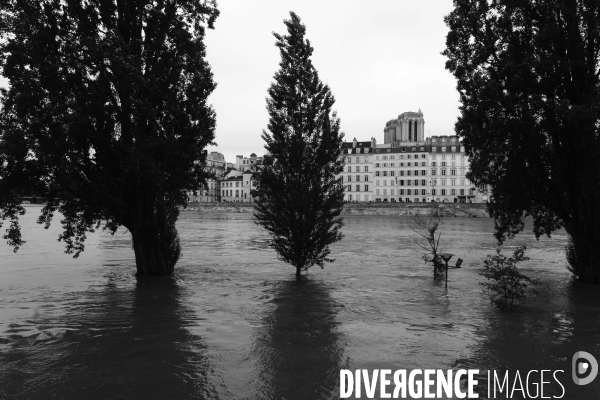 Inondations à Paris la Seine 2016.  Flooding of the River Seine Paris 2016.