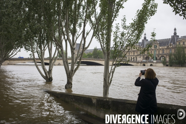Crue de la seine a paris.