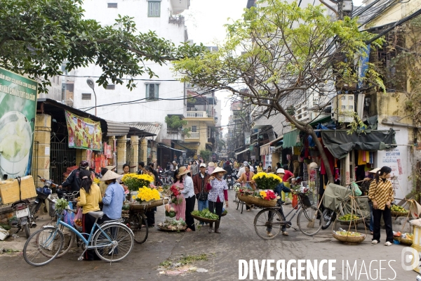 Hanoi/vietnam