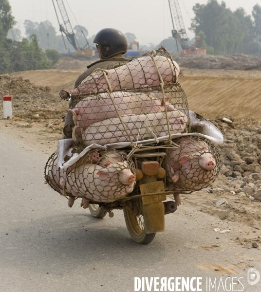 Hanoi/vietnam