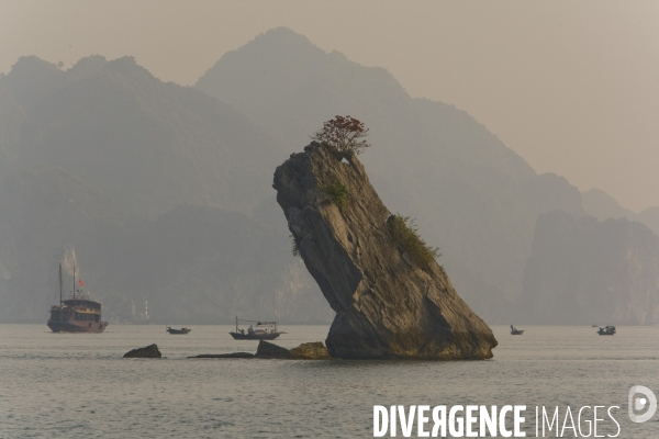 Baie d halong /vietnam