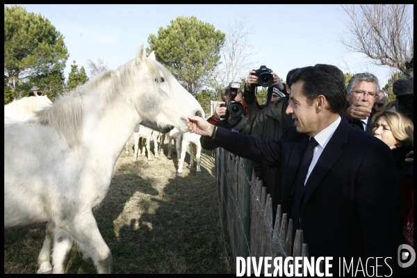 Deplacement de nicolas sarkozy en camargues