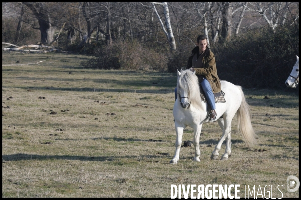 Deplacement de nicolas sarkozy en camargues