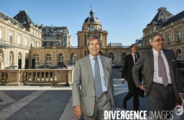 Vincent Bolloré Audition au Sénat