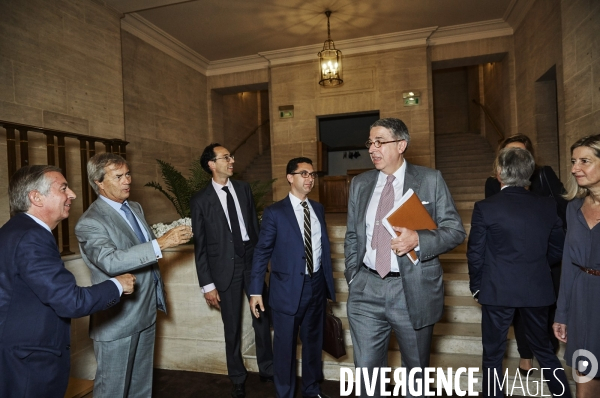 Vincent Bolloré Audition au Sénat