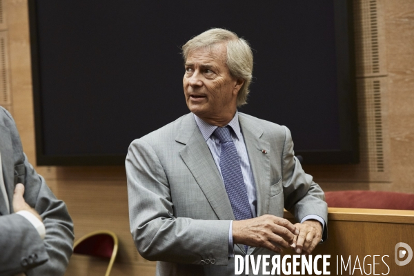 Vincent Bolloré Audition au Sénat