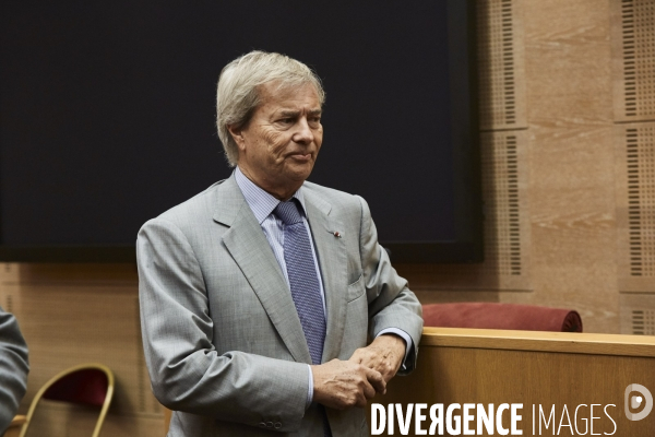 Vincent Bolloré Audition au Sénat