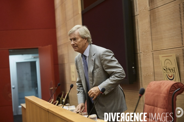 Vincent Bolloré Audition au Sénat