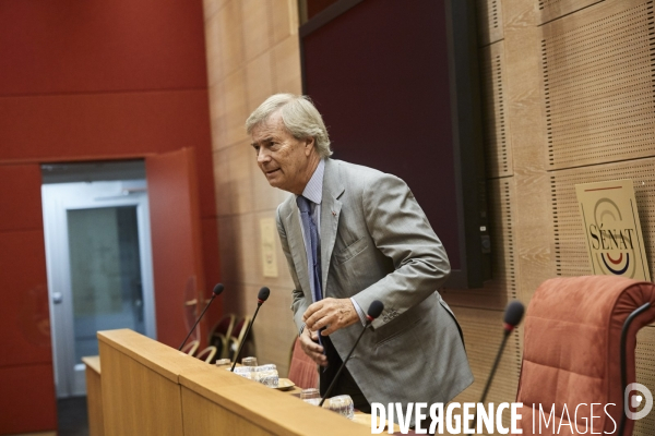Vincent Bolloré Audition au Sénat