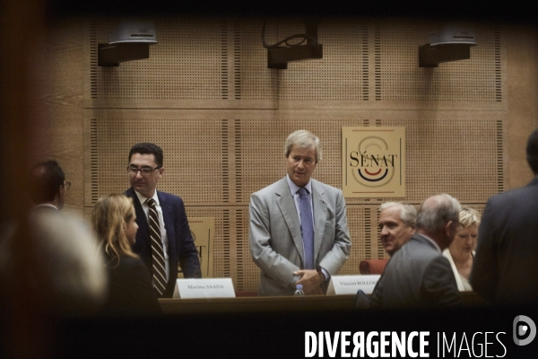 Vincent Bolloré Audition au Sénat