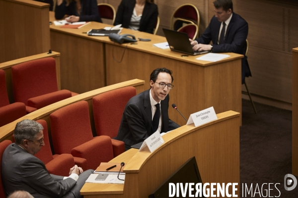 Vincent Bolloré Audition au Sénat