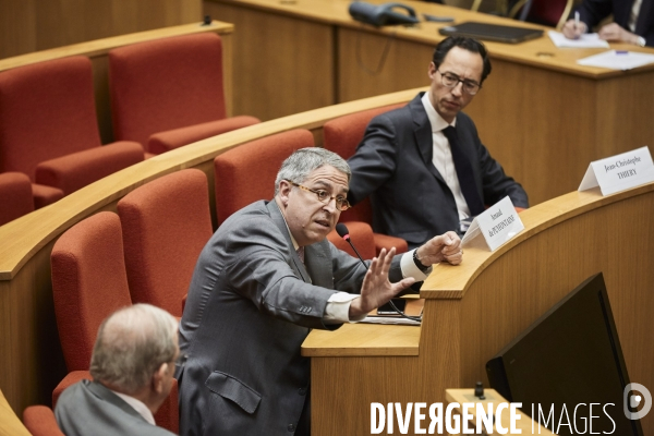 Vincent Bolloré Audition au Sénat