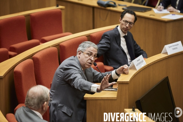 Vincent Bolloré Audition au Sénat