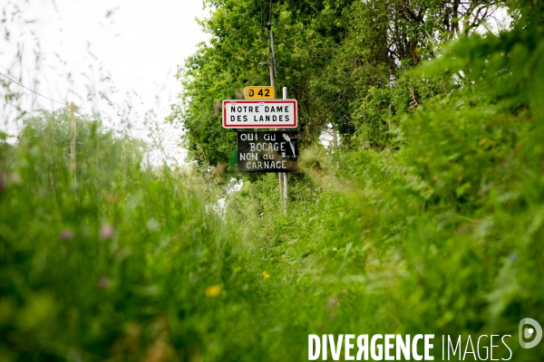 Un aéroport à Notre Dame des Landes ?