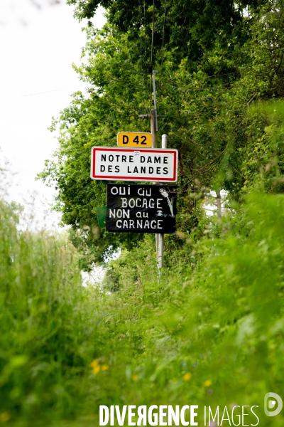 Un aéroport à Notre Dame des Landes ?