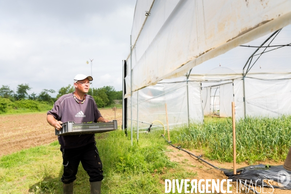 Ungersheim: Un village en transition (Alsace)