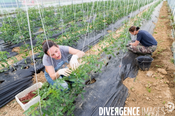 Ungersheim: Un village en transition (Alsace)