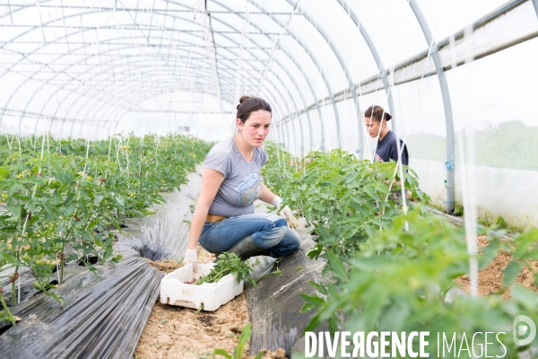 Ungersheim: Un village en transition (Alsace)