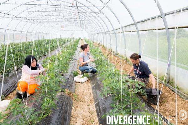 Ungersheim: Un village en transition (Alsace)