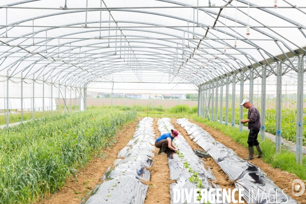 Ungersheim: Un village en transition (Alsace)