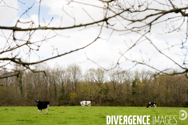 Un aéroport à Notre Dame des Landes ?