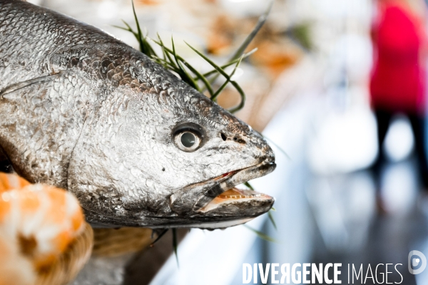 Du pêcheur au sac à main: le cuir de poisson fabriqué à Arcachon